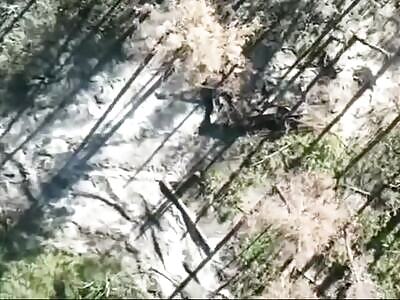 Ukrainian drone destroys Russian T-90 tank