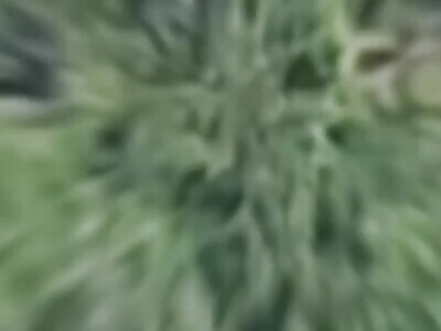 UA kamikaze drone hunts Ruzzian