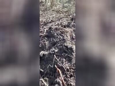 Many dead Russians after meeting Ukrainian soldiers