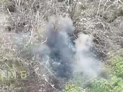 Ukrainian arty hit russians