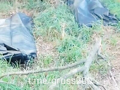 Russians so fled from their positions that they left their dead