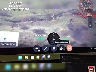 UA kamikaze drones removed many Russian targets