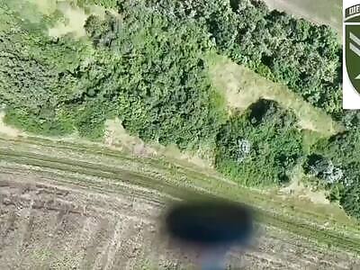 Drone bombing russian cockroaches