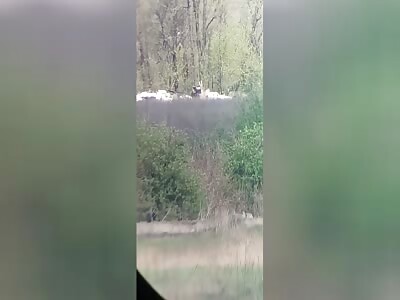 UA sniper eliminated a Russian soldier