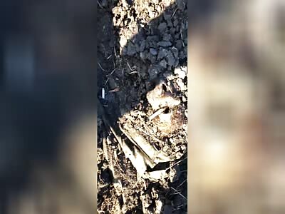 Buried Russian corpse