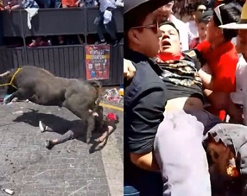 Bull Sends Another Mexican Back to Reality