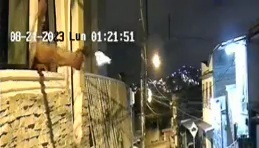 The Brazilian way to dealing with thieves 