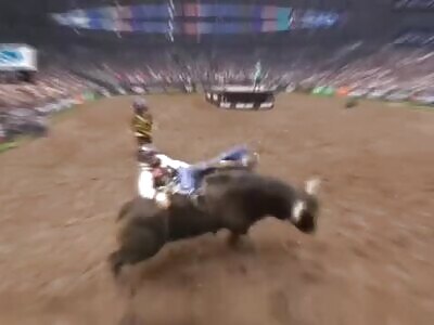 Compilation of the Revenge of the Bull