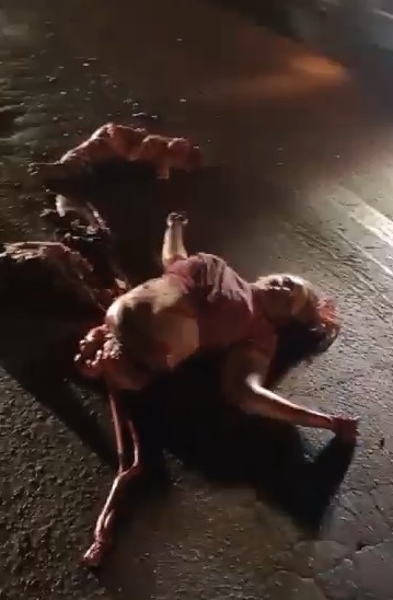 DAMN: Chicks Body Torn Apart on Road.