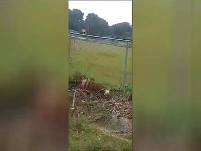 (Different angles) Air accident in Venezuela