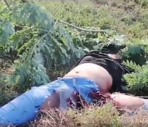 Couple killed in horrific crash with Toyota 