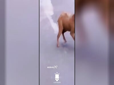 Oh have the roles been reversed