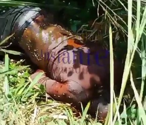 discovery of a male person in a state of decomposition 