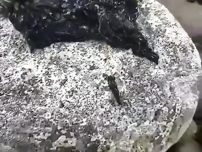 Weird Wormy-looking Mass