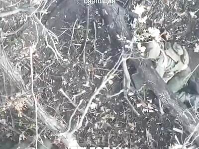 Can't hide from drones