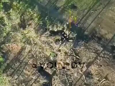 Strike Drone Targets Ukrops in Trench 