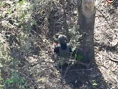 Russian soldier killed by Ukrainian drone