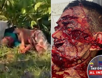 Gang member hacked to death by machete 