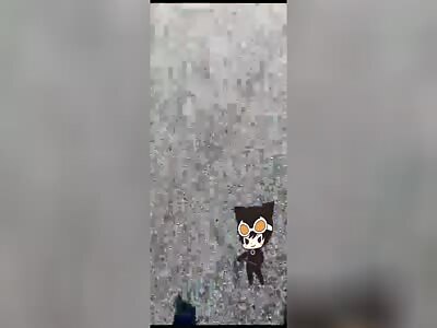 damn Brazilian biker