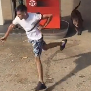 Horrifying Moment 'XL Bully' Dog Launches Vicious Attack as Girl, 11, and Others Injured