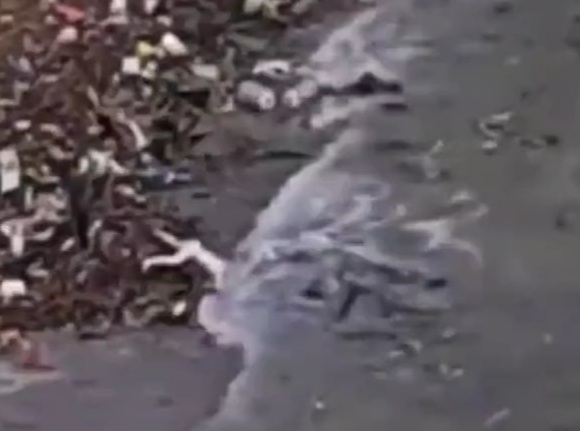 The sea dumps bodies on the coast after floods in Libya swept them int