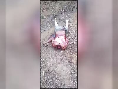 LOOK WHAT I FOUND...