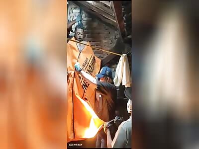 Rotten Hanger Being Bagged Up