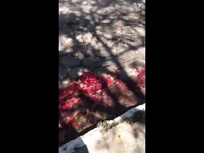 man turned into a smashed pancake