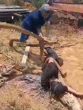 thieves punished in a masonry