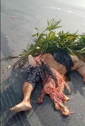 the lady was smashed on the Brazilian highway