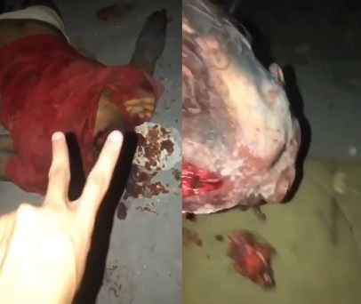 Never Snitch On The Vermelho Gang