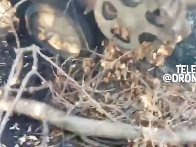 Failed Ukrainian counter offensive