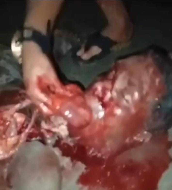 Savageness in the Favelas.. Taking Trophy.