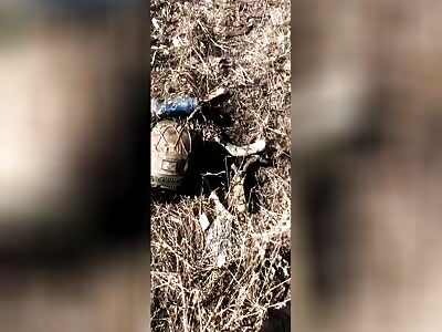 US Mercinery Left To Rot On The Battle Field