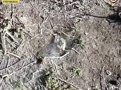 Russian soldier left headless by drone attack