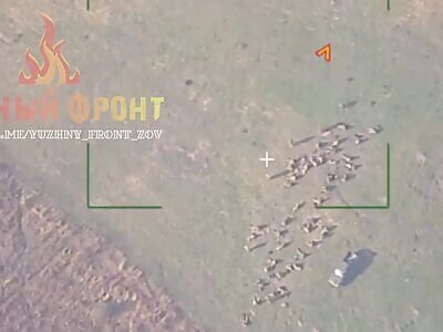 Iskander Hits Large Group Of Ukrops 