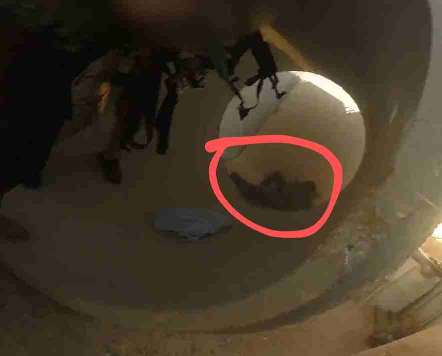 Israeli Soldier Get Finished Off By Jihadists