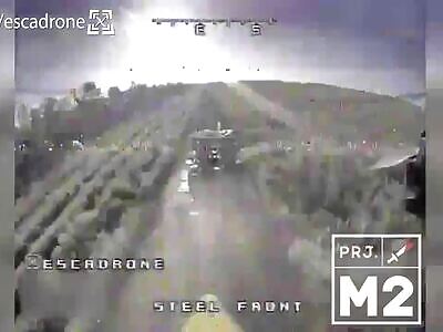 FPV：Let me see what's in this car？