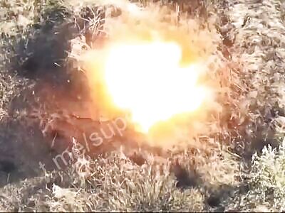 Katsap valiantly defends his homeless shelter in vain