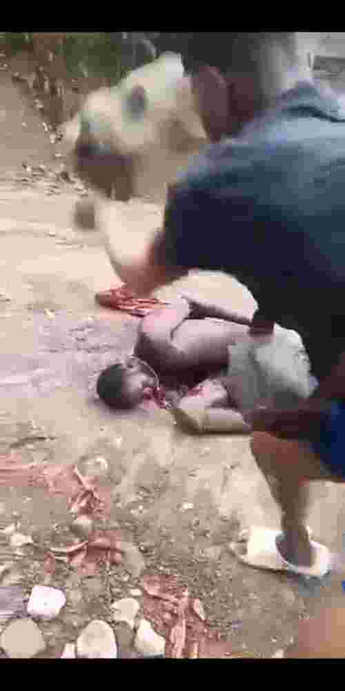 They Let Him Try To Run Away But He Wasn't Fast Enough 