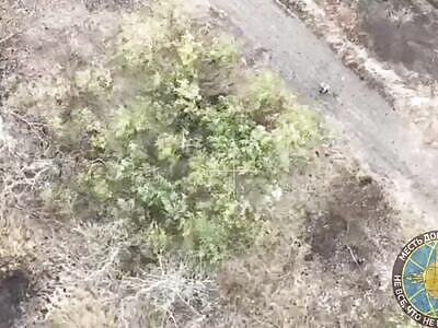 Group of Ukrops Taken Out. 