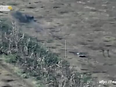 Ukrop Assault Forced Into Immediate Retreat 