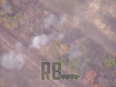 Lancet vs Self Propelled Howitzer 