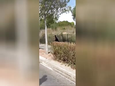 Arrest of a deranged man walking down the street with a knife