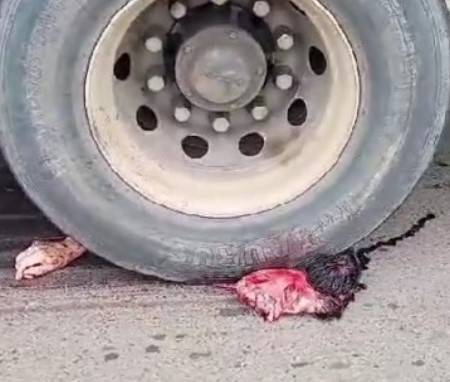 Mister brazilian splatt