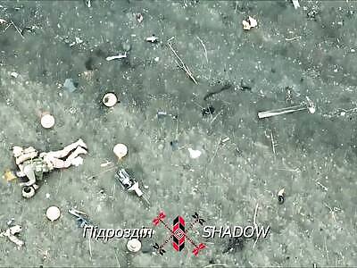 Fields strewn with Russian corpses in Avdiivka