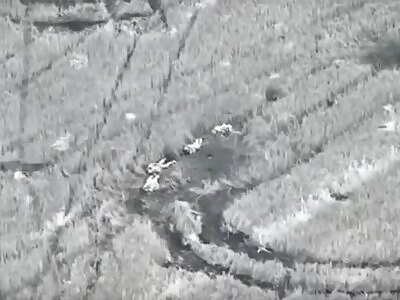 The inglorious death of the Russians near Kup'yansk