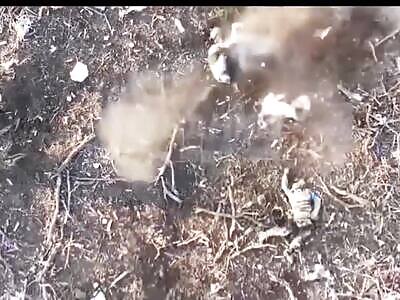 Scenes of cut-up ukrainian soldiers