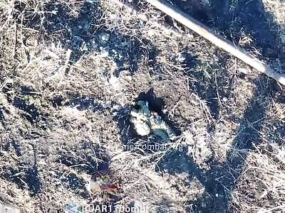 Russian Failure Celebrated With BBQ