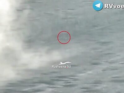 Ukrops Hit By RU Arty 